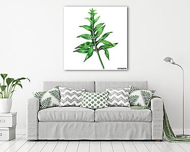 Watercolor painting fern green leaves,palm leaf isolated on whit (vászonkép) - vászonkép, falikép otthonra és irodába
