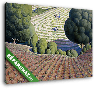 Kukoricaföld - vászonkép 3D látványterv
