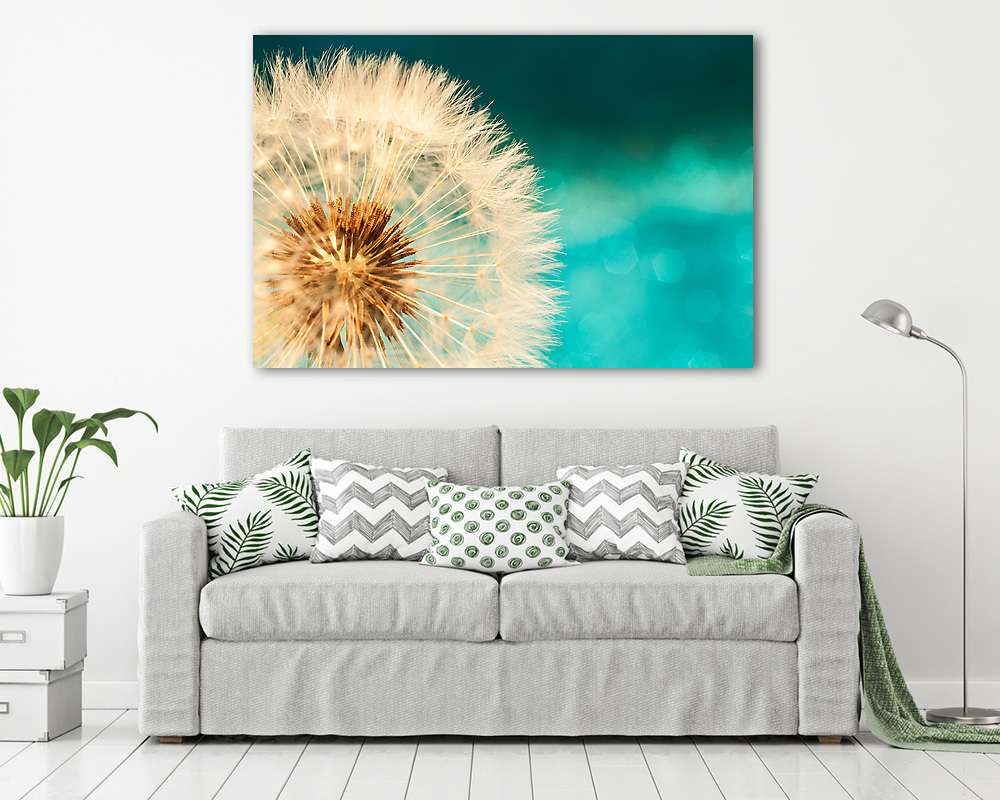 fehér pitypangvirág, tavaszi magvak kék turquois (vászonkép) - vászonkép, falikép otthonra és irodába