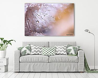 Macro seed of dandelion with water drops. Abstract photo with a  (vászonkép) - vászonkép, falikép otthonra és irodába