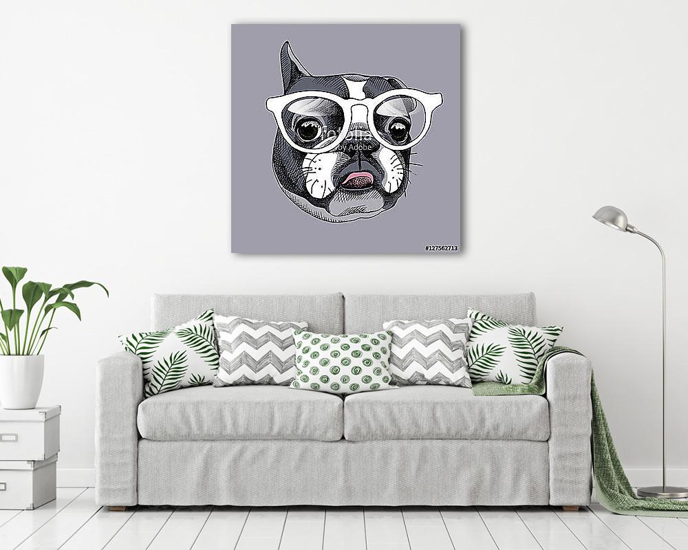 French Bulldog portrait in a glasses. Vector illustration. (fotótapéta) - vászonkép, falikép otthonra és irodába
