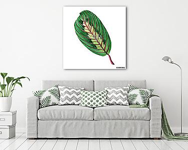 Watercolor painting green leaves,palm leaf isolated on white bac (vászonkép) - vászonkép, falikép otthonra és irodába