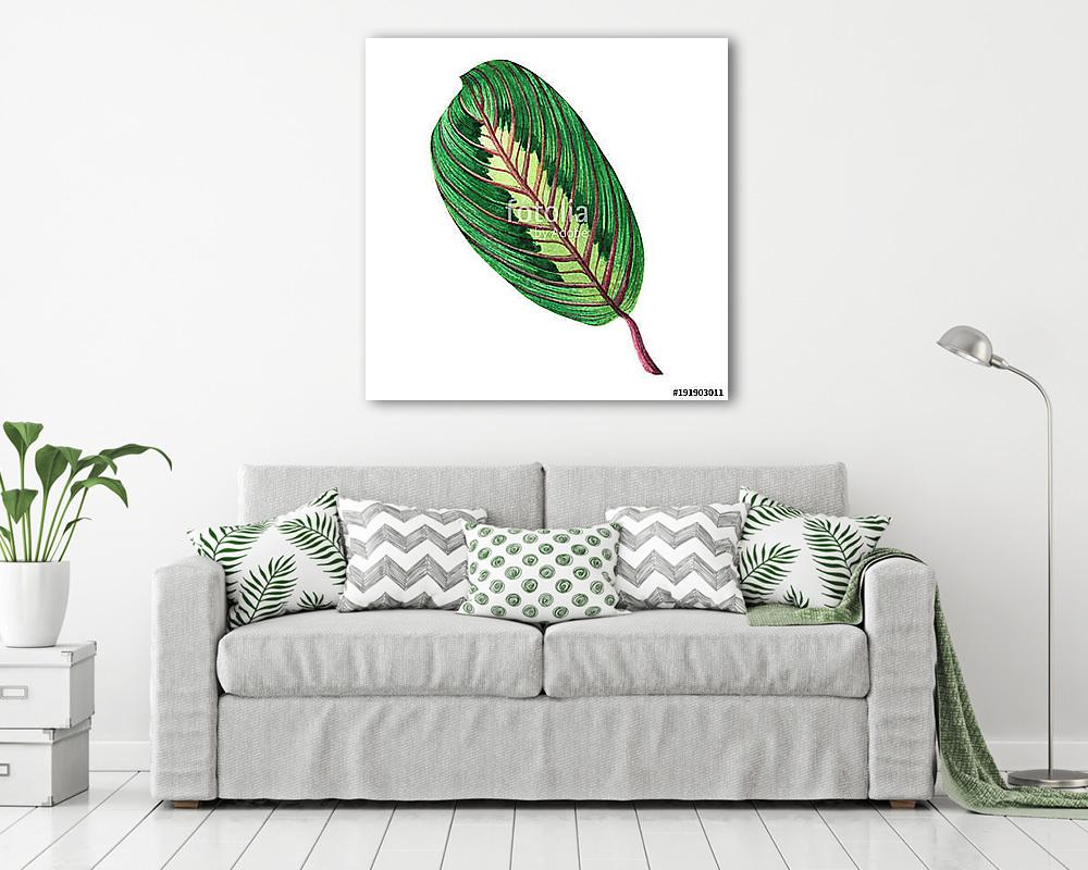 Watercolor painting green leaves,palm leaf isolated on white bac (vászonkép) - vászonkép, falikép otthonra és irodába