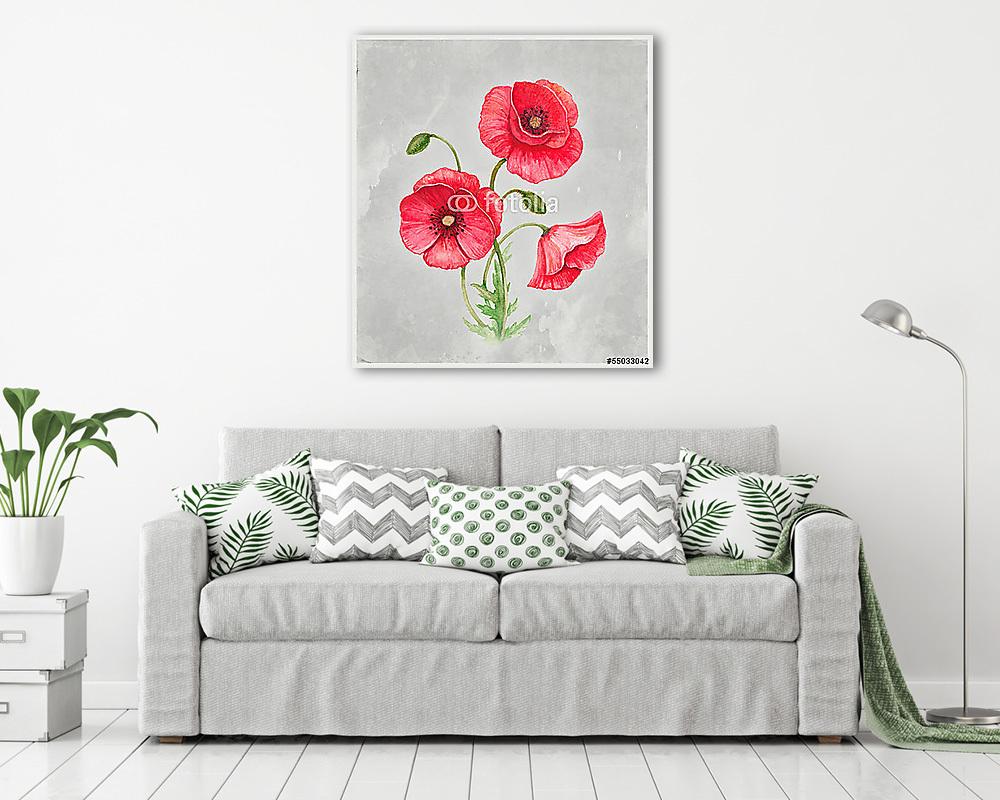 Mákvirág akvarellje - vászonkép, falikép vásárlás Mákvirág akvarellje (vászonkép) - vászonkép, falikép otthonra és irodába