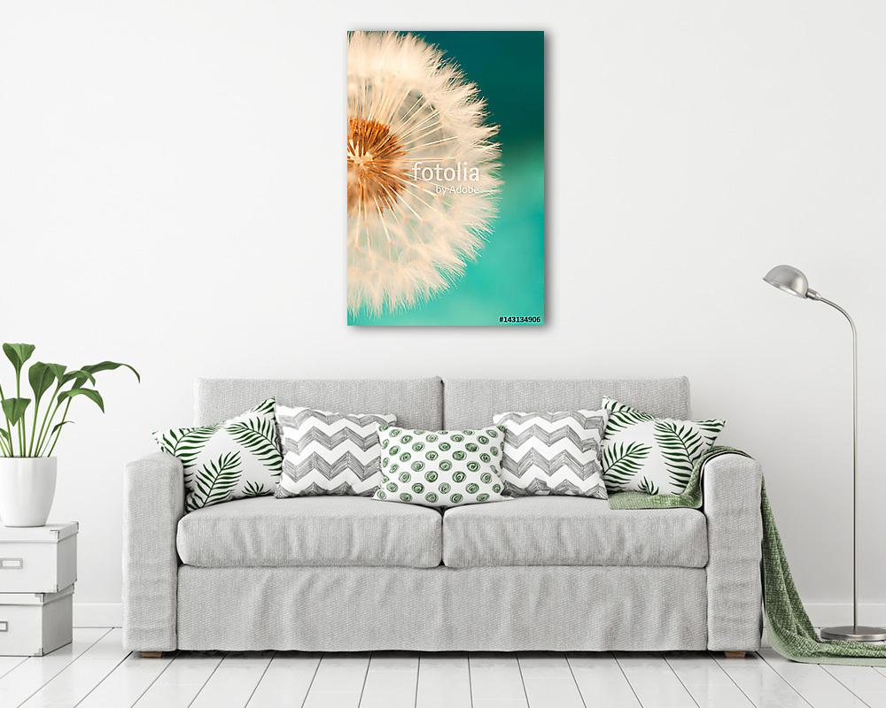 fehér pitypangvirág, tavaszi magvak kék turquois (vászonkép) - vászonkép, falikép otthonra és irodába