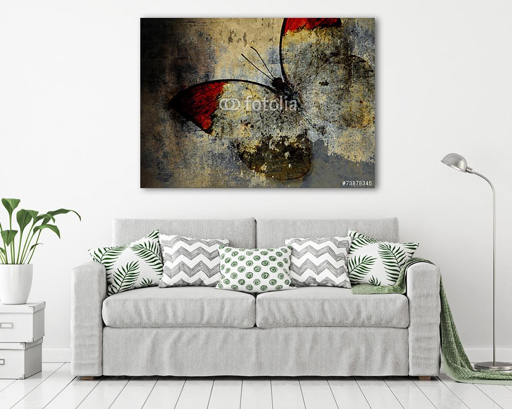 butterfly - vászonkép, falikép vásárlás butterfly (vászonkép) - vászonkép, falikép otthonra és irodába