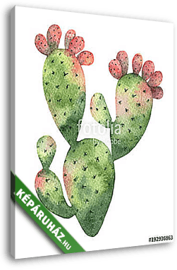 Watercolor vector cactus isolated on white background. - vászonkép 3D látványterv