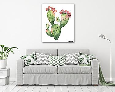 Watercolor vector cactus isolated on white background. (vászonkép) - vászonkép, falikép otthonra és irodába