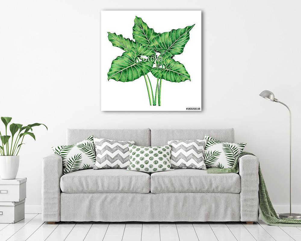 Watercolor painting big green leaves,palm leaf isolated on white (fotótapéta) - vászonkép, falikép otthonra és irodába