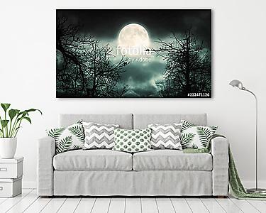 Night Forest With Moon  Background.	 (vászonkép) - vászonkép, falikép otthonra és irodába