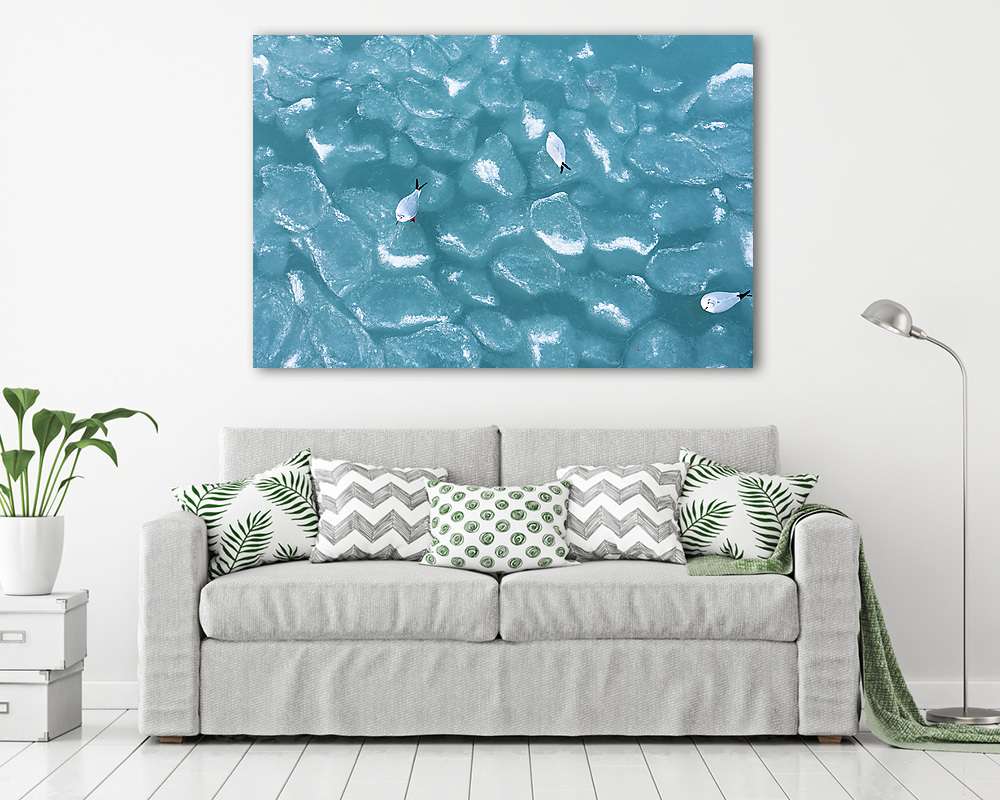 Sirályok a befagyott Balatonon (keretezett kép) - vászonkép, falikép otthonra és irodába