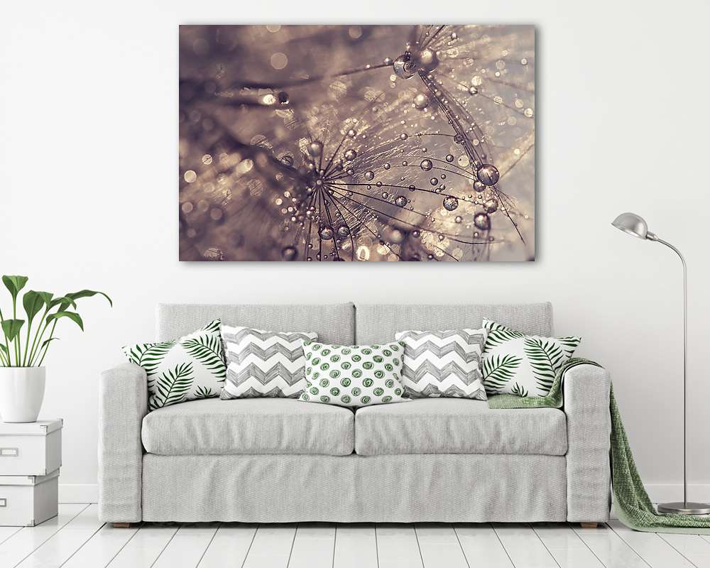 Dandelion with water drops. A beautiful macro of a dandelion. Go (poszter) - vászonkép, falikép otthonra és irodába