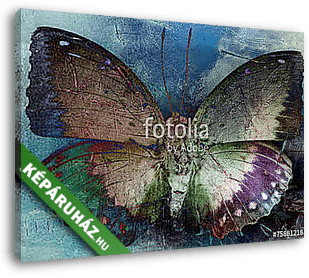 butterfly - vászonkép 3D látványterv