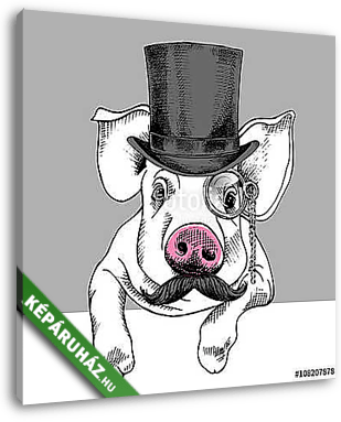 Pig portrait in a hat bowler and with monocle. Vector illustrati - vászonkép 3D látványterv