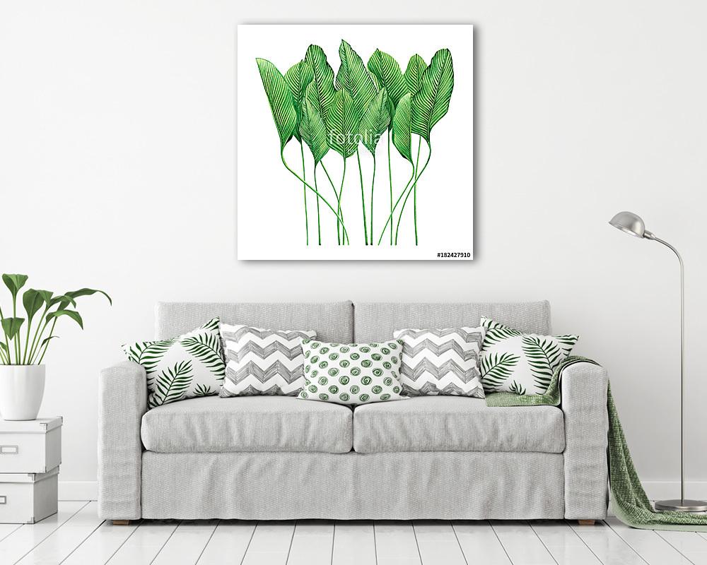 Watercolor painting tropical green leaves,palm leaf isolated on  (fotótapéta) - vászonkép, falikép otthonra és irodába