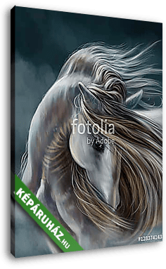 Ló portré - vászonkép 3D látványterv