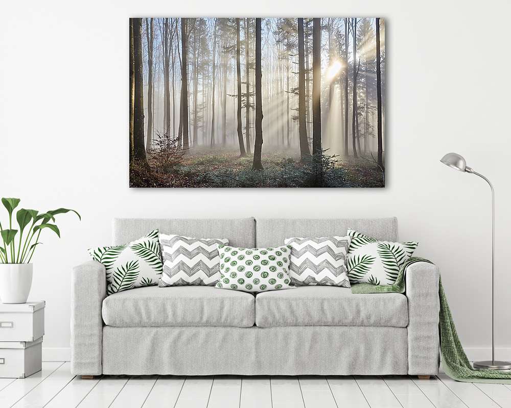 Sun rays through the foggy forrest - vászonkép, falikép vásárlás Sun rays through the foggy forrest (vászonkép) - vászonkép, falikép otthonra és irodába