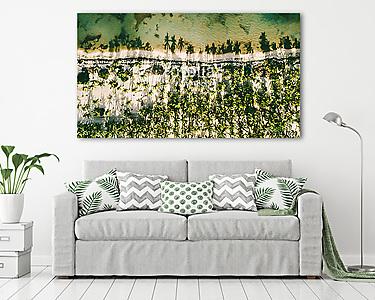 Swadow on water. Reflection palm trees (vászonkép) - vászonkép, falikép otthonra és irodába