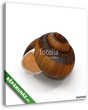 Spiral shell isolated on white. 3D illustration - vászonkép 3D látványterv