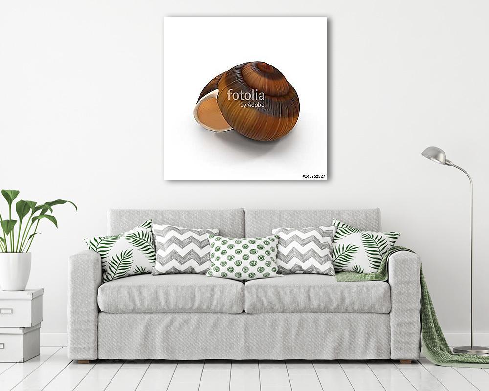 Spiral shell isolated on white. 3D illustration (vászonkép) - vászonkép, falikép otthonra és irodába