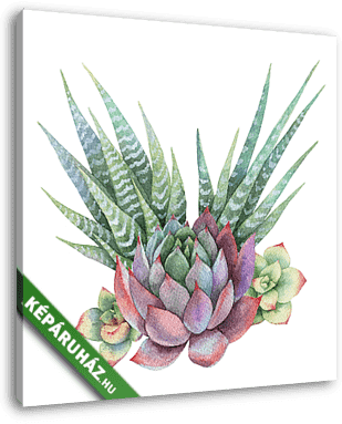 Watercolor bouquet of cacti and succulent plants isolated on whi - vászonkép 3D látványterv