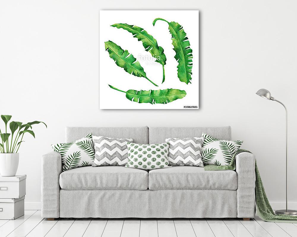 Watercolor painting green leaves isolated on white background.Wa (fotótapéta) - vászonkép, falikép otthonra és irodába
