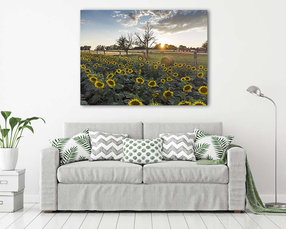 Napraforgók naplementében (Karád) (vászonkép) - vászonkép, falikép otthonra és irodába