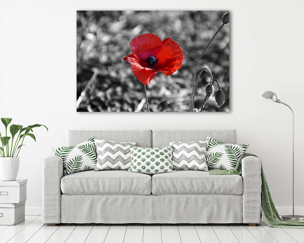 Poppy - vászonkép, falikép vásárlás Poppy (vászonkép) - vászonkép, falikép otthonra és irodába