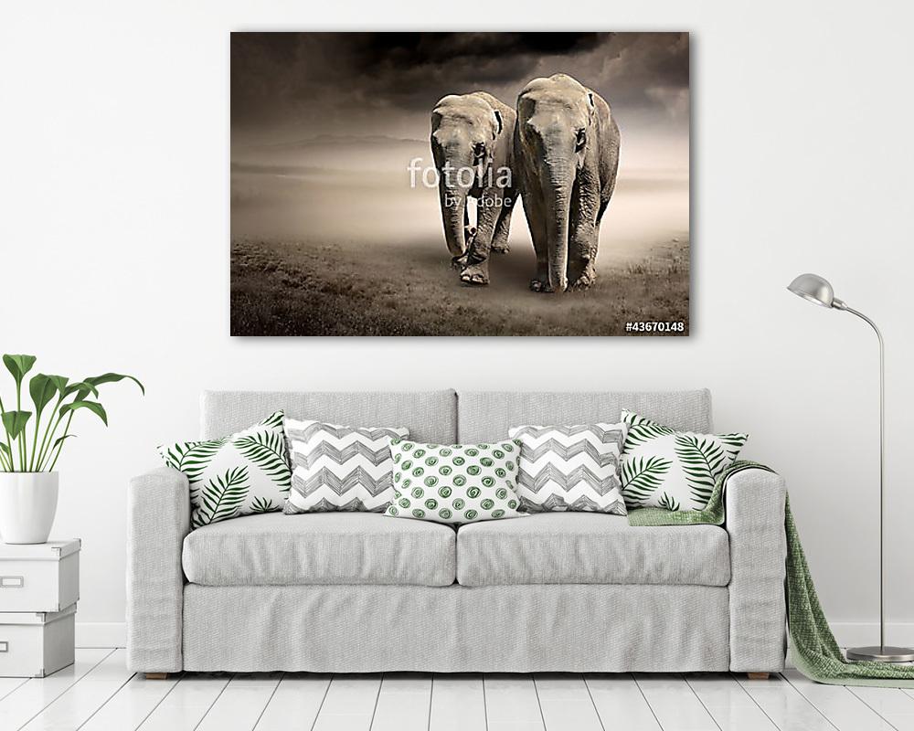Elefántok párja a mozgásban - vászonkép, falikép vásárlás Elefántok párja a mozgásban (vászonkép) - vászonkép, falikép otthonra és irodába