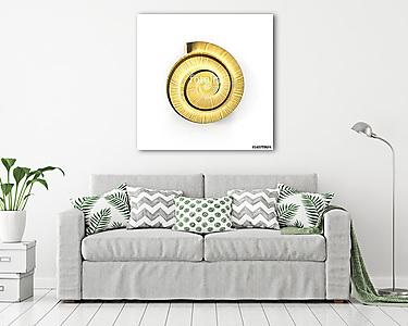 Snail Shell on white. 3D illustration (vászonkép) - vászonkép, falikép otthonra és irodába