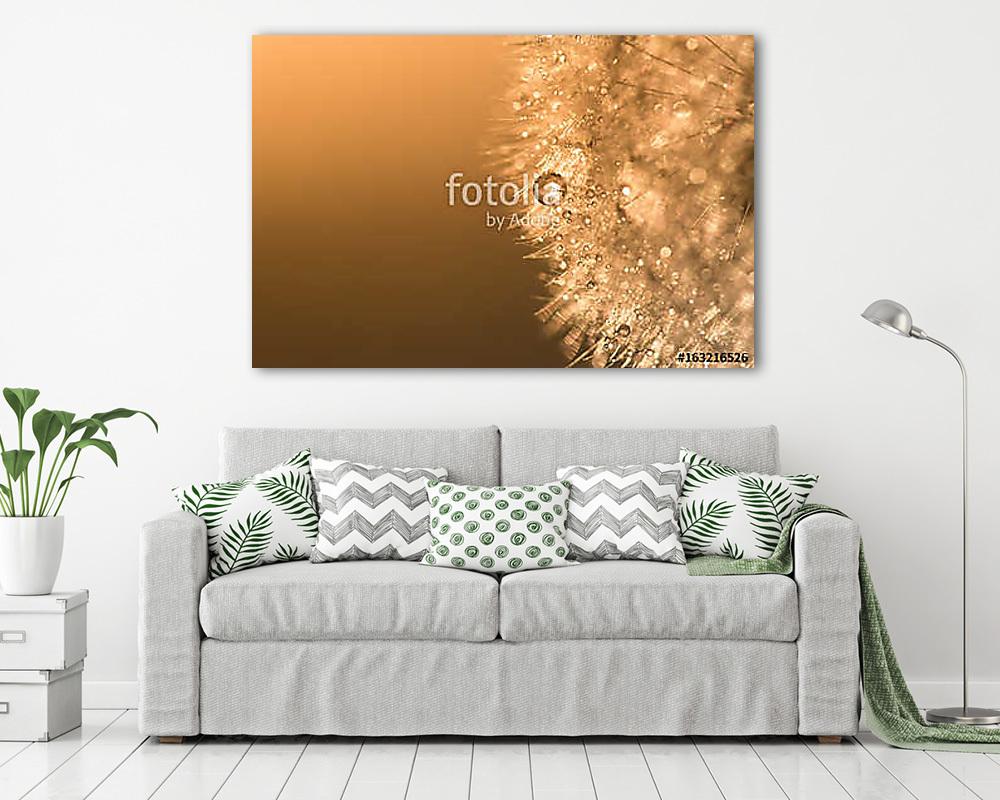 Water droplets on a dandelion with sunlight. Abstract beautiful  - vászonkép, falikép vásárlás Water droplets on a dandelion with sunlight. Abstract beautiful  (vászonkép) - vászonkép, falikép otthonra és irodába