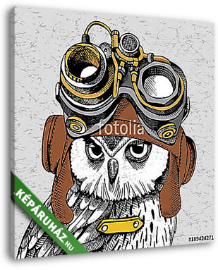 Owl portrait in a Steampunk helmet. Vector illustration. - vászonkép 3D látványterv