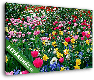 Tavaszi virágoskert - vászonkép 3D látványterv