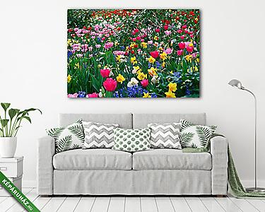 Tavaszi virágoskert - vászonkép, falikép otthonra és irodába