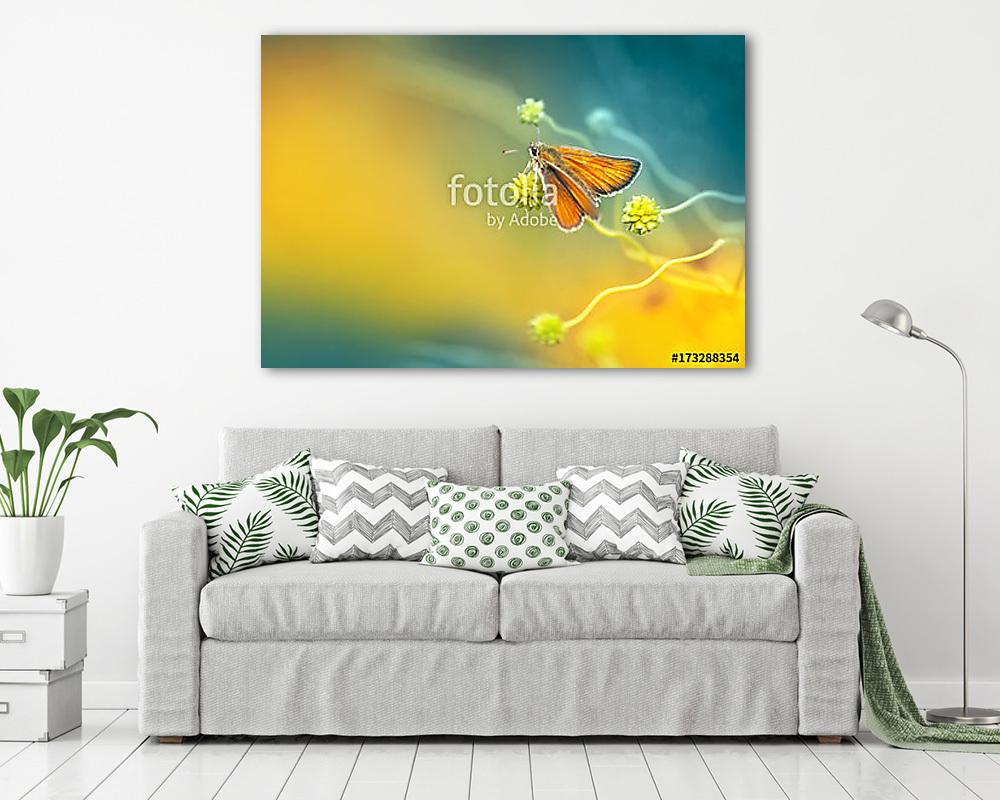Narancsszínű lepke egy díszes hullámos növényen egy sárga és tür (többrészes kép) - vászonkép, falikép otthonra és irodába