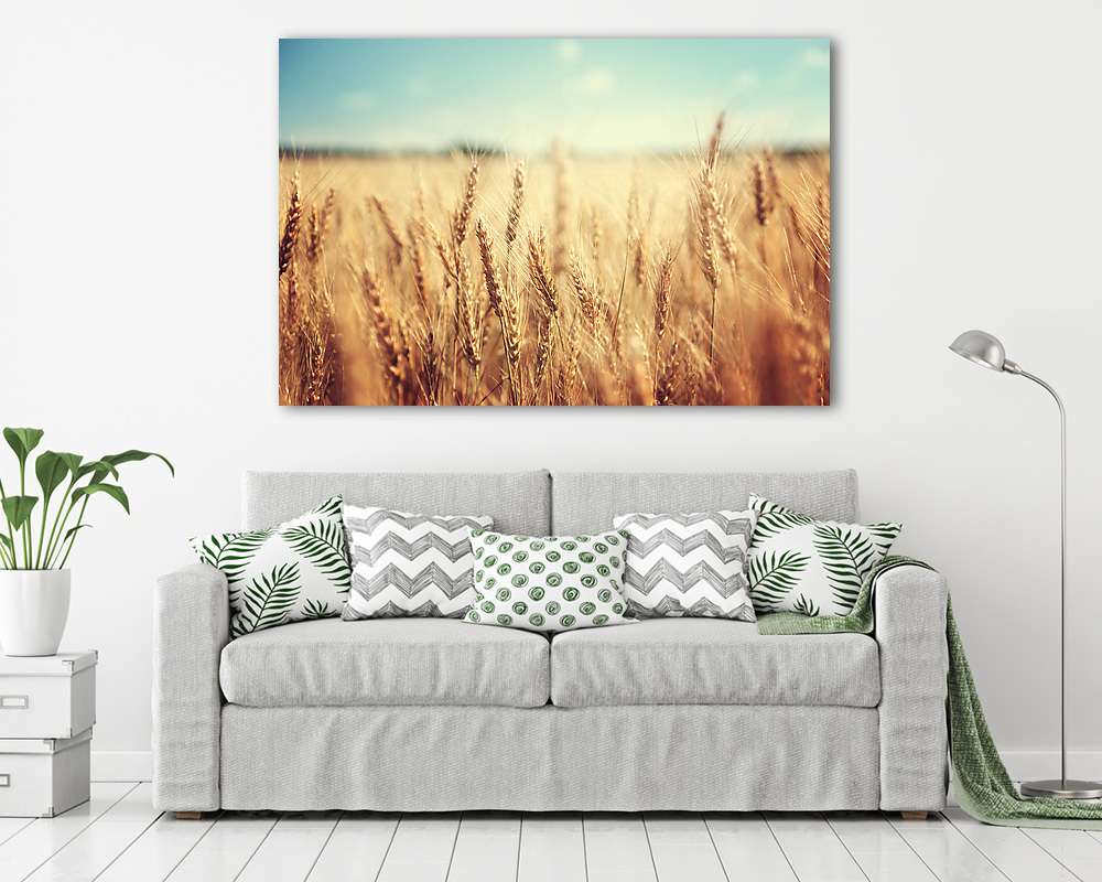 aranybúza és napsütéses nap (bögre) - vászonkép, falikép otthonra és irodába