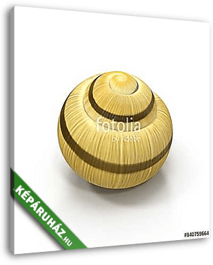 Snail Shell on white. 3D illustration - vászonkép 3D látványterv