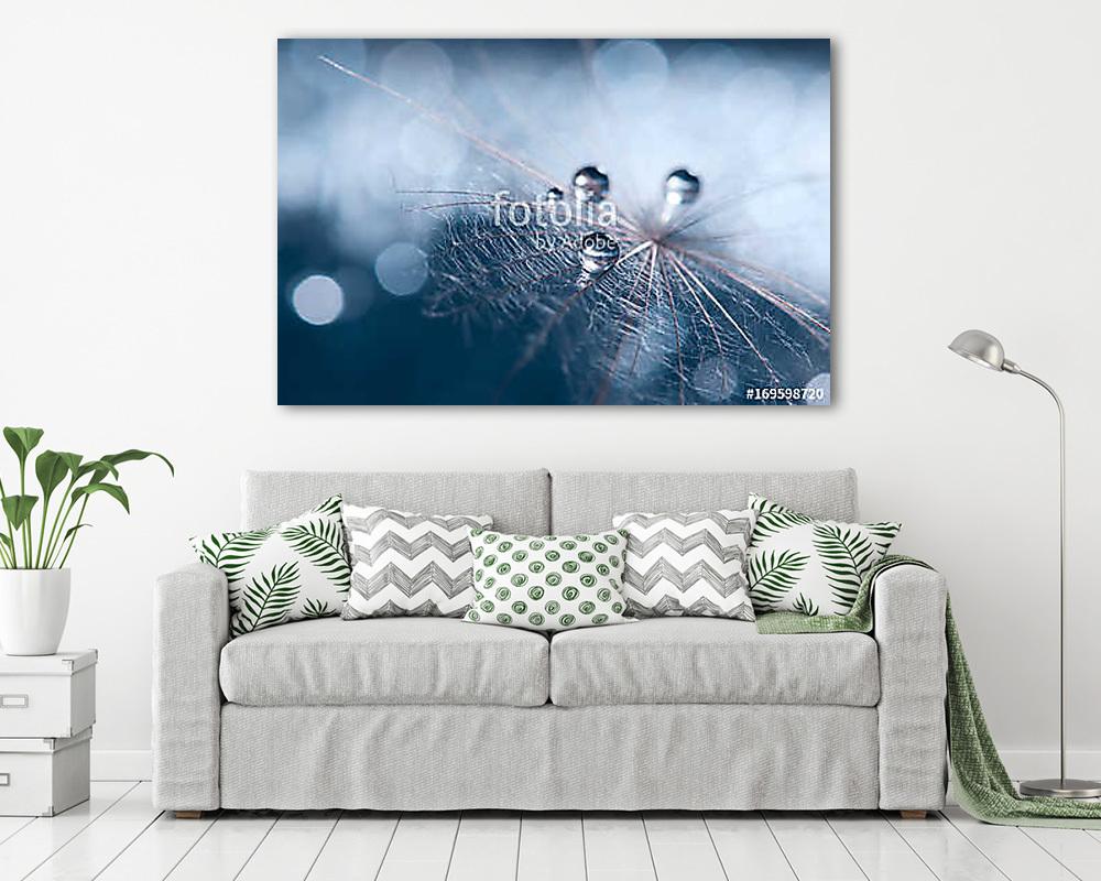 A beautiful and artistic image of a dandelion with drops on a bl (többrészes kép) - vászonkép, falikép otthonra és irodába