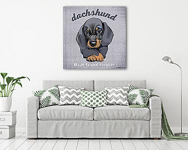 The poster with the portrait of the dog Dachshund. Vector illust (vászonkép) - vászonkép, falikép otthonra és irodába