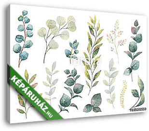 Hand drawn vector watercolor set of herbs, wildflowers and spice - vászonkép 3D látványterv