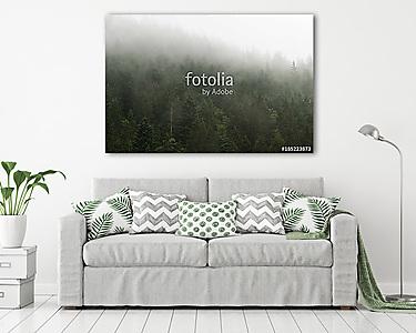 Forest in the mist (vászonkép) - vászonkép, falikép otthonra és irodába