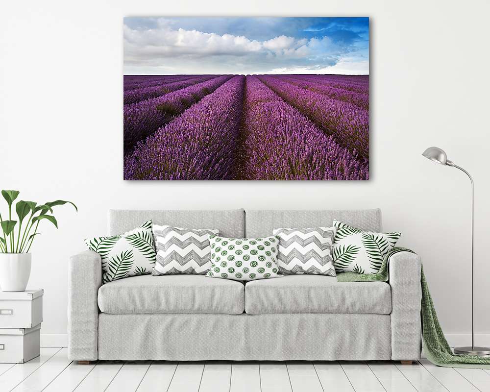 Gyönyörű levendulaterem táj drámai égbolton - vászonkép, falikép vásárlás Gyönyörű levendulaterem táj drámai égbolton (poszter) - vászonkép, falikép otthonra és irodába