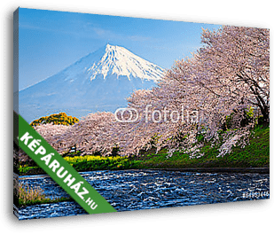 Fuji és Sakura - vászonkép 3D látványterv