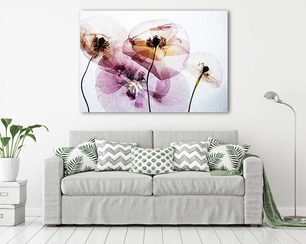 száraz mák (poszter) - vászonkép, falikép otthonra és irodába