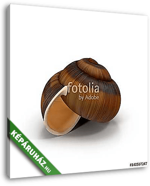 Snail Shell on white. 3D illustration - vászonkép 3D látványterv