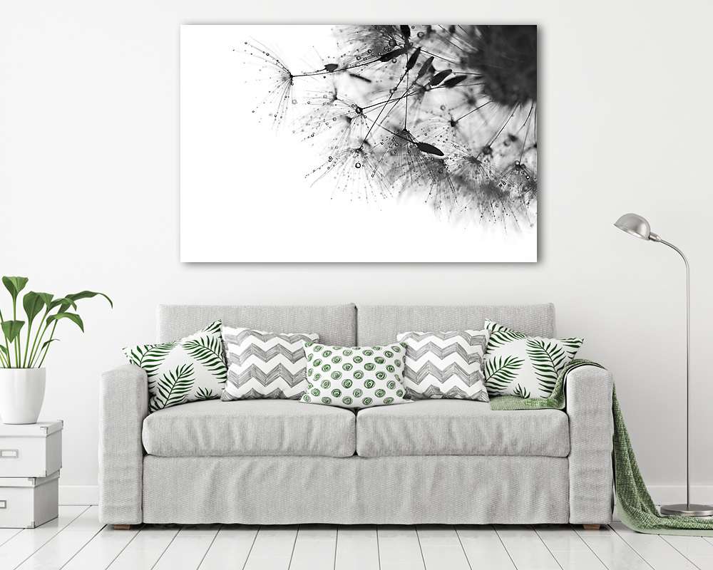 Black and white photo with the dandelions . Macro of dandelion w - vászonkép, falikép vásárlás Black and white photo with the dandelions . Macro of dandelion w (keretezett kép) - vászonkép, falikép otthonra és irodába