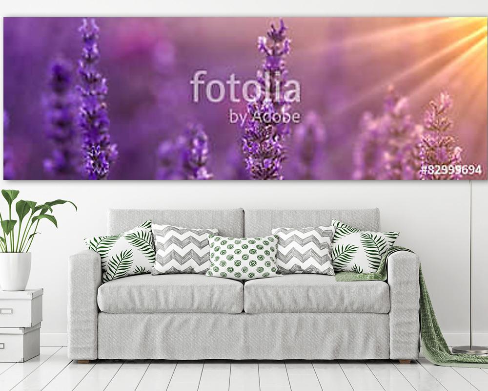 Lavender (többrészes kép) - vászonkép, falikép otthonra és irodába