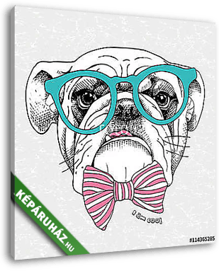 Image the portrait of a bulldog with a bow and in the glasses. V - vászonkép 3D látványterv