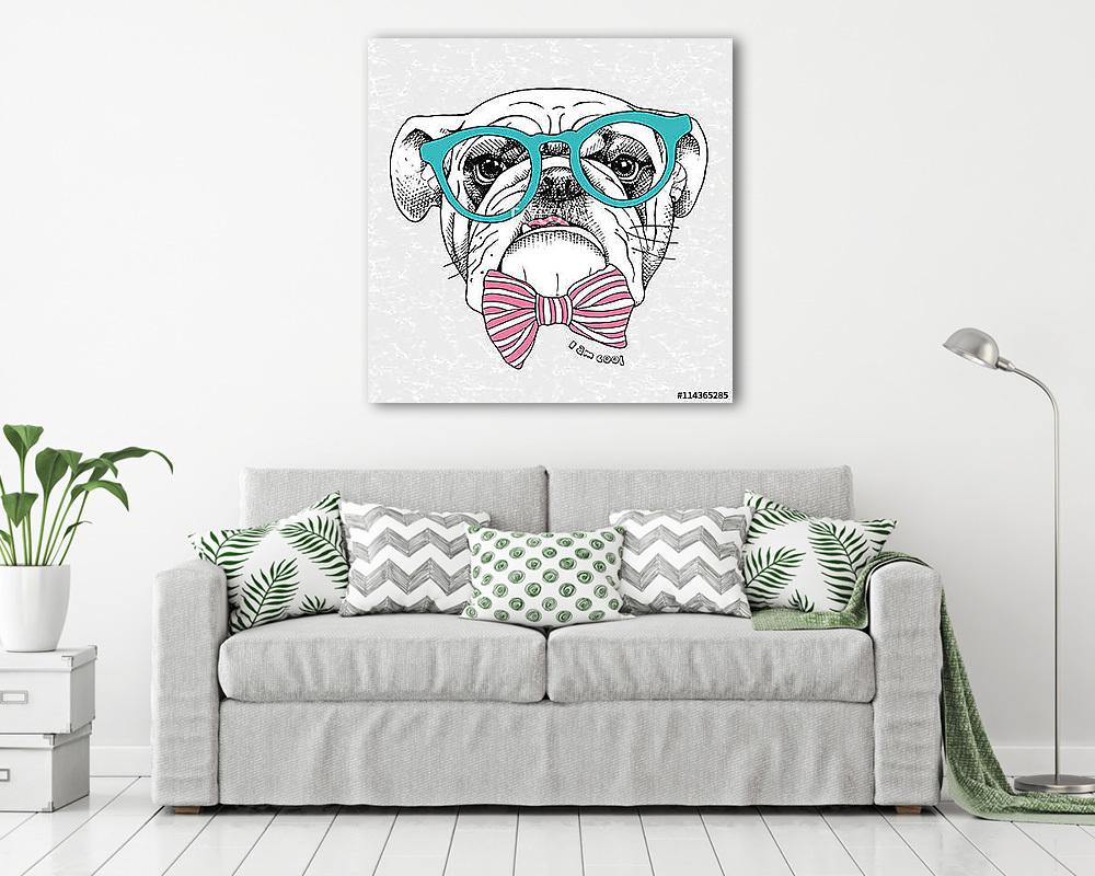 Image the portrait of a bulldog with a bow and in the glasses. V (vászonkép) - vászonkép, falikép otthonra és irodába
