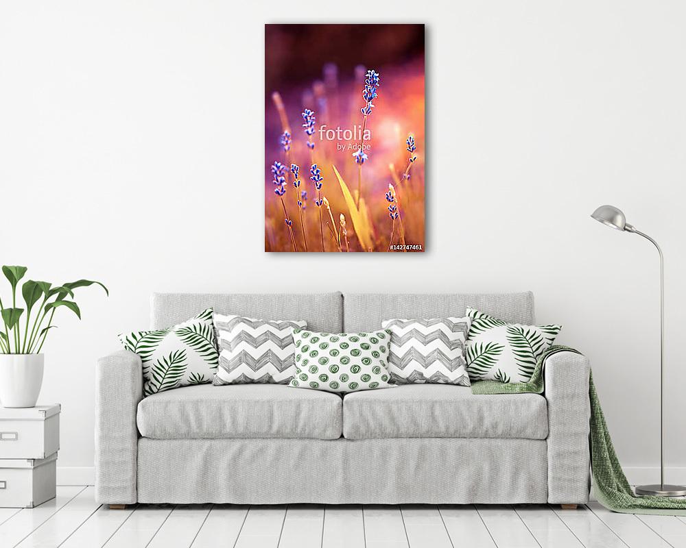 The romantic shine of lavender - vászonkép, falikép vásárlás The romantic shine of lavender (vászonkép) - vászonkép, falikép otthonra és irodába